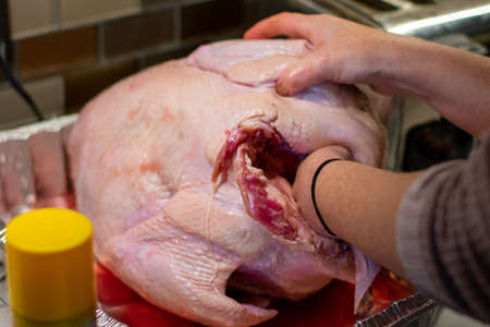 A Caucasian Woman With Her Hand Inside a Raw Turkeyの写真素材