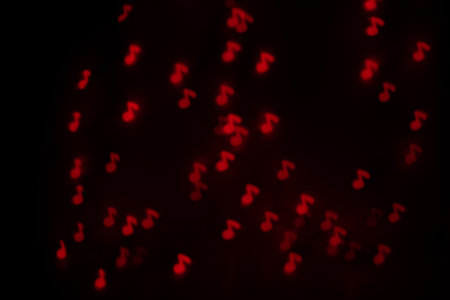 Orange Music Note Shaped Bokeh on Blackの写真素材