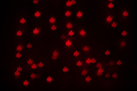 Orange Leaf Shaped Bokeh on Black