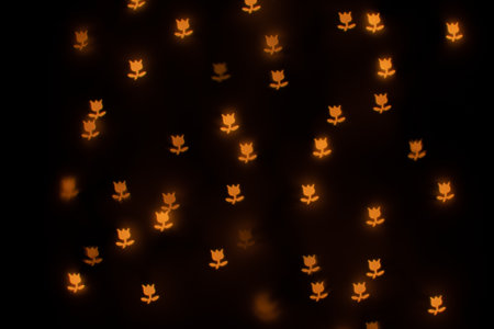Yellow Flower Shaped Bokeh on Blackの写真素材
