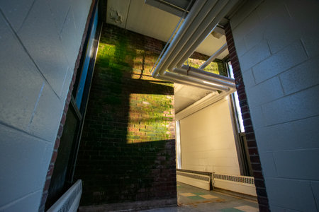 A Brick Wall With Moss Growing On It With a Nearby Window Casting Light and Shadowsの写真素材