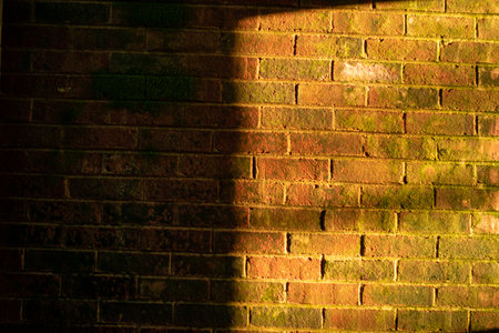 A Textured Brick Wall With Moss Growing on it and Half Lit by Orange Light Coming Through a Windowの写真素材
