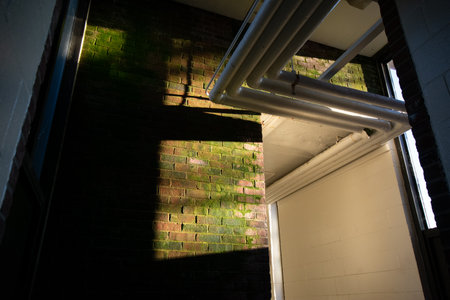 A Brick Wall With Moss Growing On It With a Nearby Window Casting Light and Shadowsの写真素材