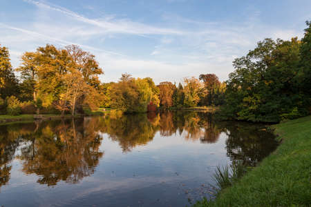 Pond and beautiful park in the afternoon sun. Nice bokeh.の写真素材