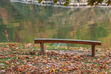 A natural wooden bench made from a tree that stands by the water and is surrounded by fallen leavesの写真素材