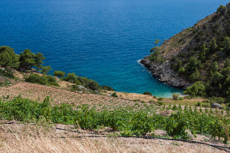 Nice view of the coastline with sea and sky on the island of Hvar in the Ivan Dolac area.