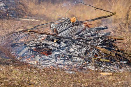 Burning trimmings and wood from the cut forest. A lit fire with hot coals and smoke escaping into the air.の写真素材