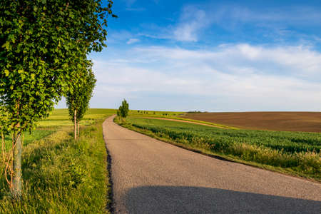 Beautiful green field that ripples and the sun shines on them. A landscape of waves called Moravian Tuscany in the Czech Republic.
The blue sky is in the background.の写真素材