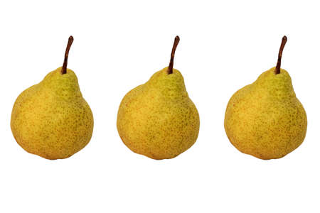 Three identical pears with a stalk side by side in a row on a white background.の写真素材