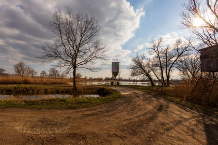 A dirt road leads to the pond. Trees grow around. There is a silo by the pond - feeding for fish. There are dramatic clouds in the sky.の写真素材
