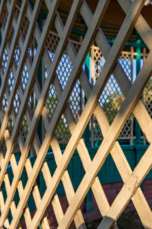 Wooden transparent wall that forms various shapes.の写真素材