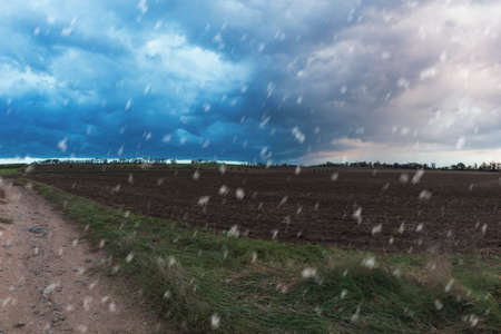 Autumn landscape with a view of the landscape, fields and forest. The road leads around the field. There are dramatic clouds in the sky and snow is flying.の写真素材