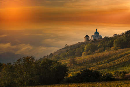 Vineyards in South Moravia near Mikulov in the Czech Republic. In the background is the Holy Hill...