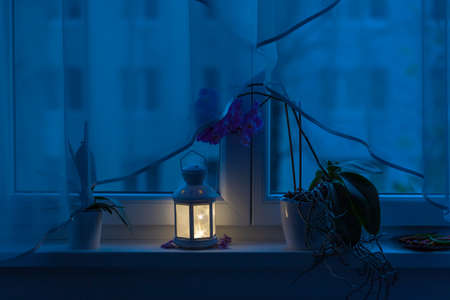 Still life on the window sill. Lamp and flower above which is a curtain.