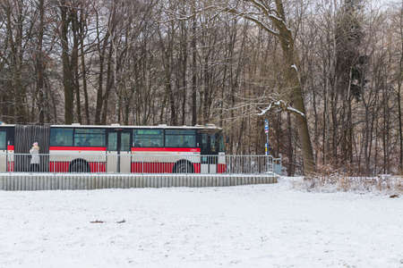 Brno, Czech Republic, February, 11, 2021 - Public transport bus number 50 at the stop goes in the direction of Bystrc in the city of Brno in the Czech Republic. There is a snowy landscape around.のeditorial素材