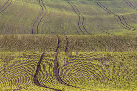 Rolling fields of Moravian Tuscany in the Czech Republic.