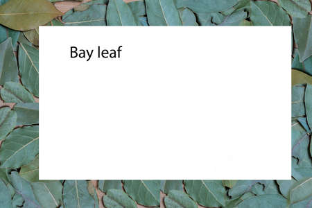 Bay leaf spice. In the middle is a white area for instructions.