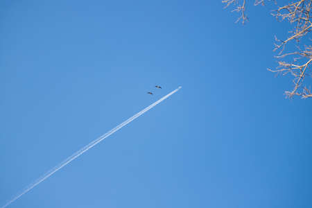 A large airliner flies in the air. There are white clouds and a trail behind the plane in the blue...
