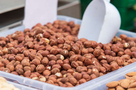 Dry fruits of nuts, hazelnuts and almonds.の写真素材