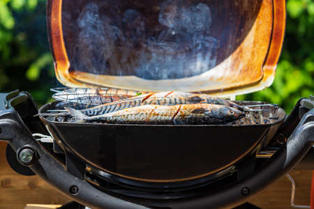 Mackerel prepared on a grill in nature.の写真素材