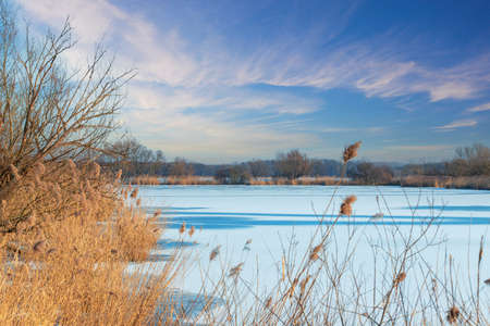 Winter landscape, frozen pond on which there is snow. There are trees and grass around the pond.の写真素材