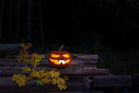 A hollowed-out pumpkin for Halloween shines on the edge of the forest.の写真素材