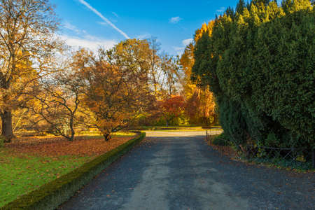 Castle park - autumn landscape with sun with colorful trees. Blue sky with white clouds.の写真素材