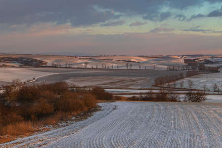 Winter landscape in South Moravia in the Czech Republic in Europe. Vineyards after winter in Palava.の写真素材
