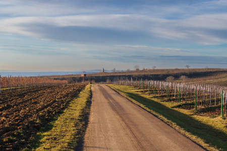 Landscape with a vineyard in Moravia in the Czech Republic with a chapel Hradistek.の写真素材