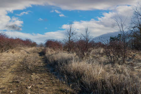 Spring dirt road. There is dry grass around the road. There are dramatic clouds in the sky.