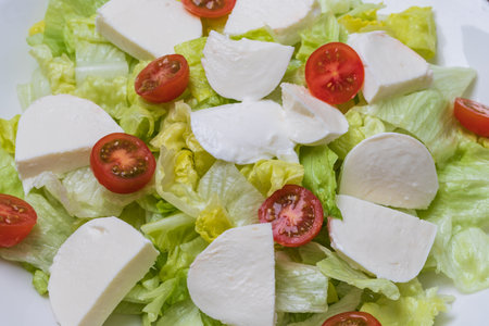 Healthy food. Green lettuce, small tomatoes, natural white cheese on a white plate.の写真素材