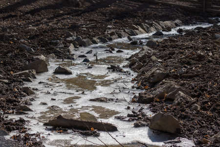 There is mud and a frozen flowing stream in the forest.の写真素材
