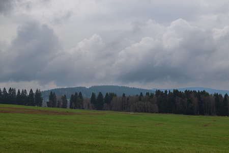 Spring landscape with green trees. In the background are heavy clouds.