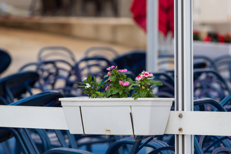 Restaurant garden with furniture and a flower box.の写真素材