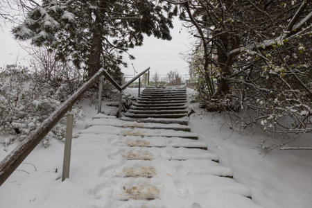 Winter snowy landscape on a housing estate in the city.の写真素材