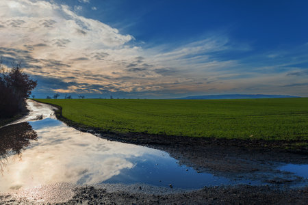 Winter landscape without snow. Greening field, muddy road. There are dramatic clouds in the sky.の写真素材