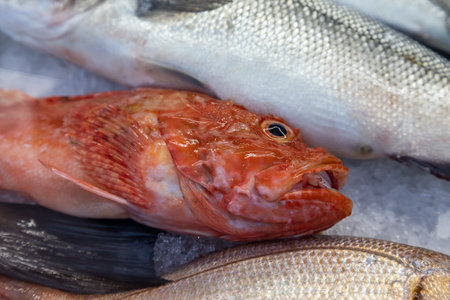 Fresh sea fish in the cold counter, intended for sale in the market. The fish are stored on ice.