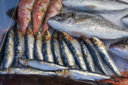 Fresh sea fish in the cold counter, intended for sale in the market. The fish are stored on ice.