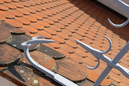 Metal protection against birds is located on the roof.の写真素材