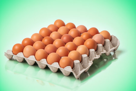 Large chicken eggs are on a paper plate. Eggs for sale. Flatlay photo.の写真素材