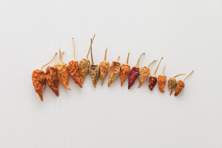 Small colorful dried chili peppers on a white table. Flat Lay.の写真素材