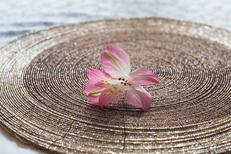 Beautiful pink lily flower. Old lens test.の写真素材