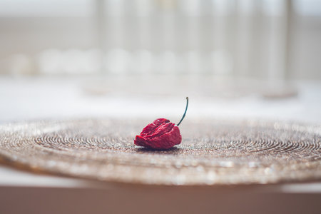 Hot red Habanero pepper - Capsicum chinense Jacquin is drying on the table.の写真素材