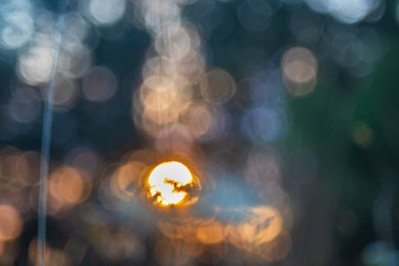 Beautiful abstract bokeh forest landscape. Photographed with an old lens.の写真素材