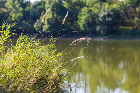 Beautiful autumn landscape at sunrise. Clearing fog. Pagansko Czech Republic Europeの写真素材
