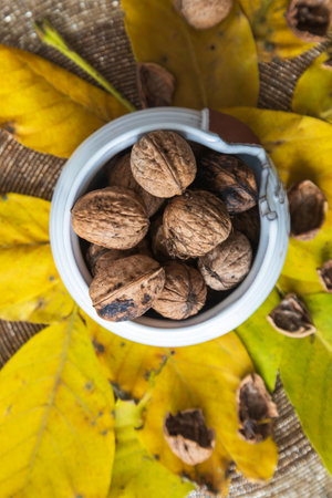 Beautiful autumn still life. Walnuts for making tea.