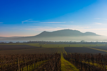 Winter vineyards and a view of Palava. Below Palava are the Novomlynske reservoirsの写真素材