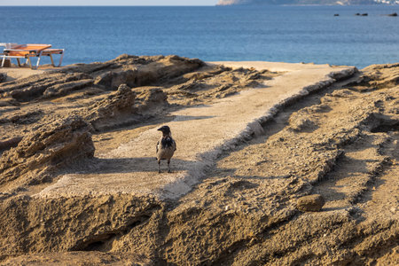 Sunset on the beautiful beach on the island of Rhodes in Greece. Seascapeの写真素材