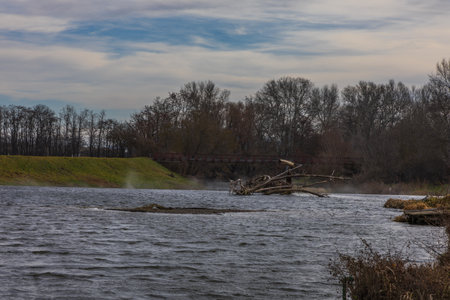 River near Cvrcovice. There are pieces of fallen trees in the river