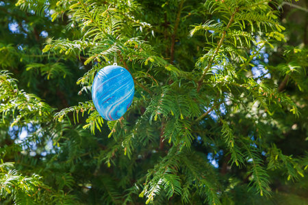 Easter eggs hanging on a coniferous tree in the park